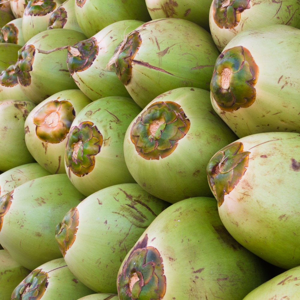 Coco Seleccionado